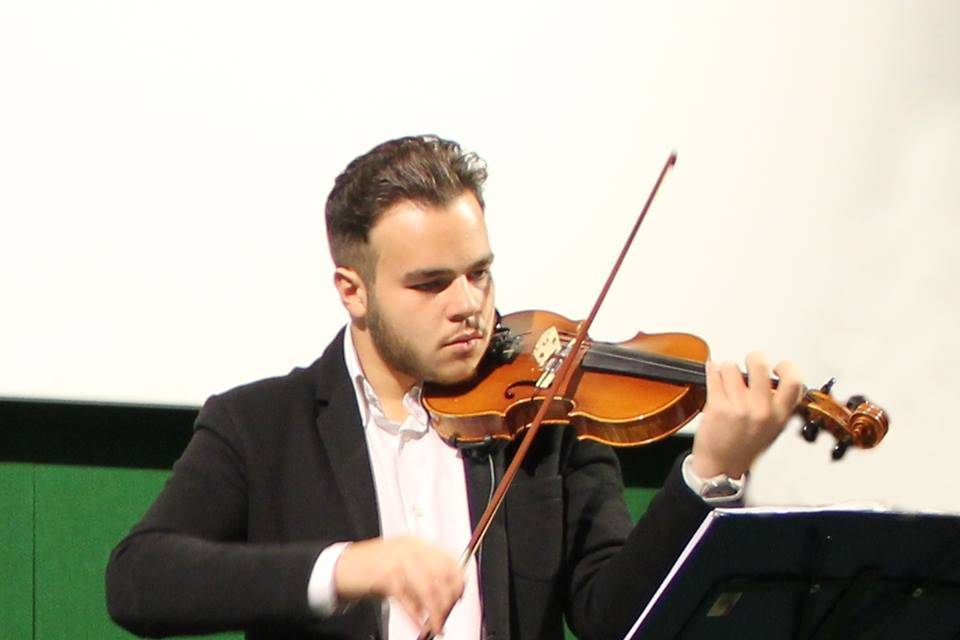 Violino