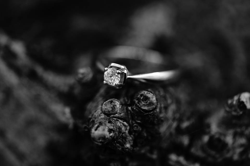 Liberatoph Wedding