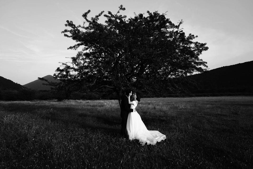 Liberatoph Wedding