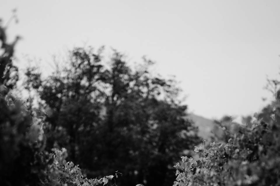 Liberatoph Wedding