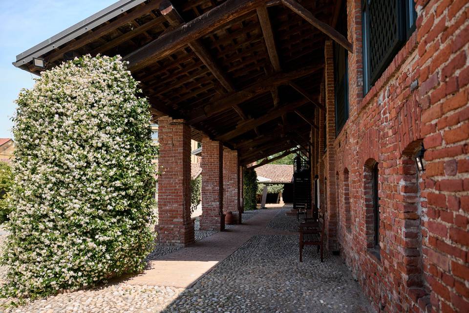 Gelsomino