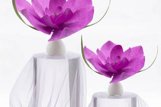 I Fiori Capricciosi - FioriGiganti di carta Sculture di carta