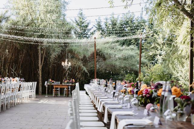 Mise en place Cielo stellato