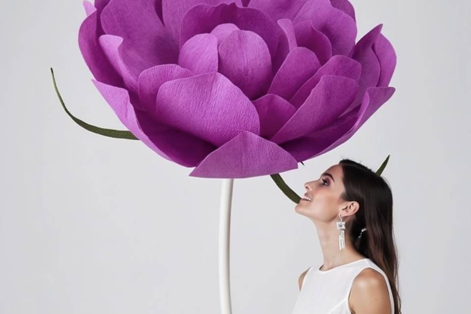 PEONIA GIGANTE