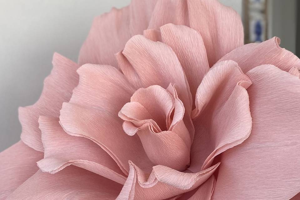 Giant pink rose