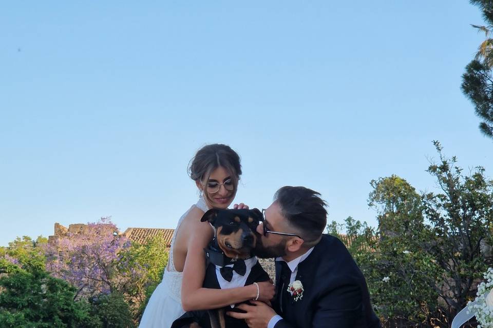 Francesca - Wedding Dog Sitter