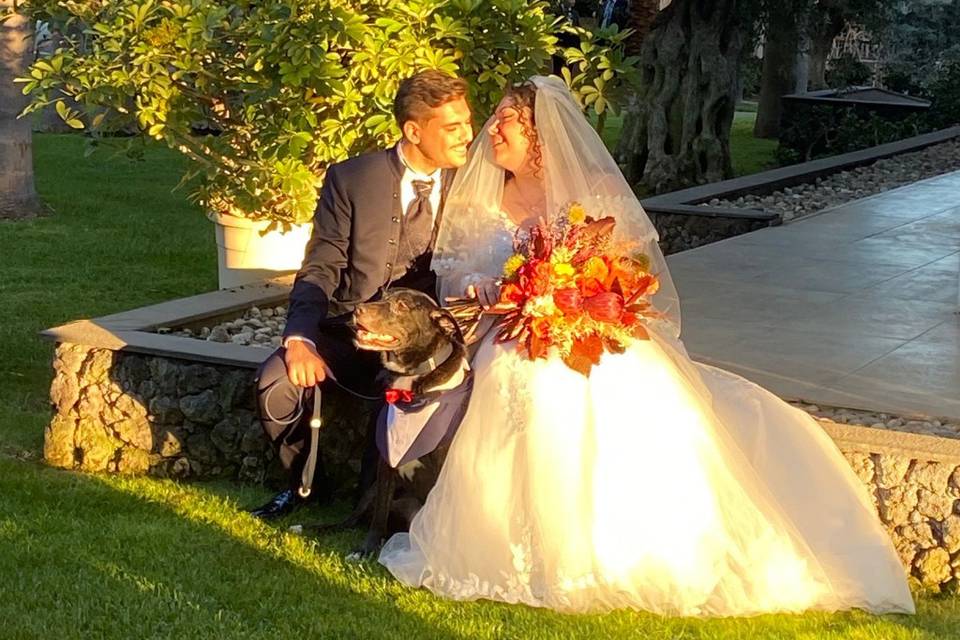 Wedding