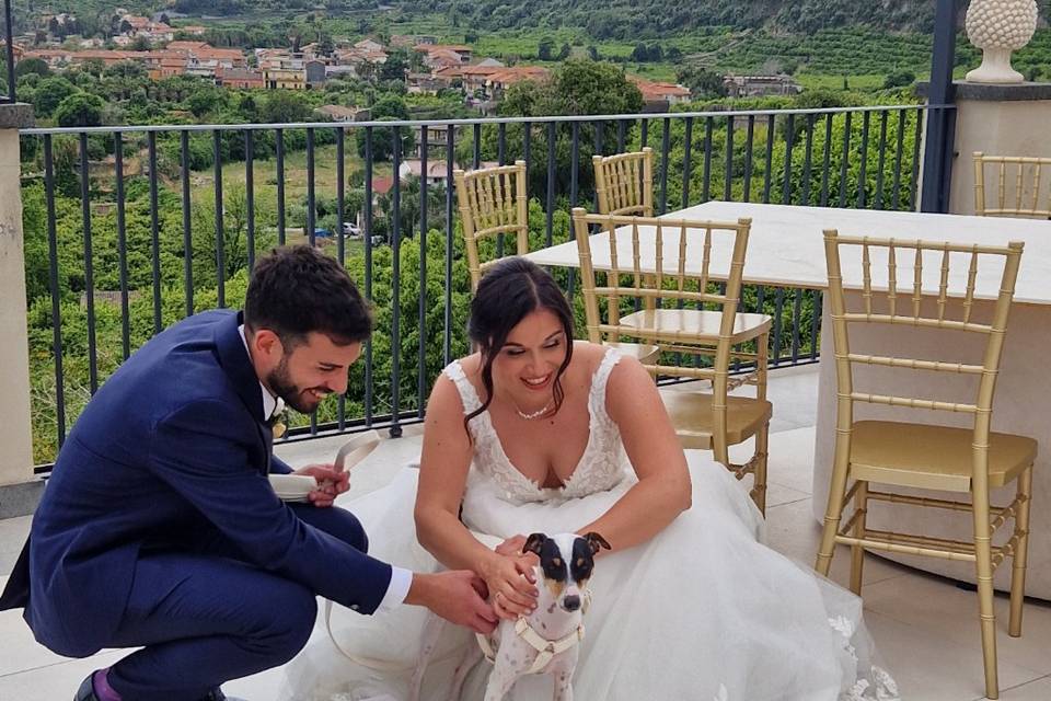 Lilo wed