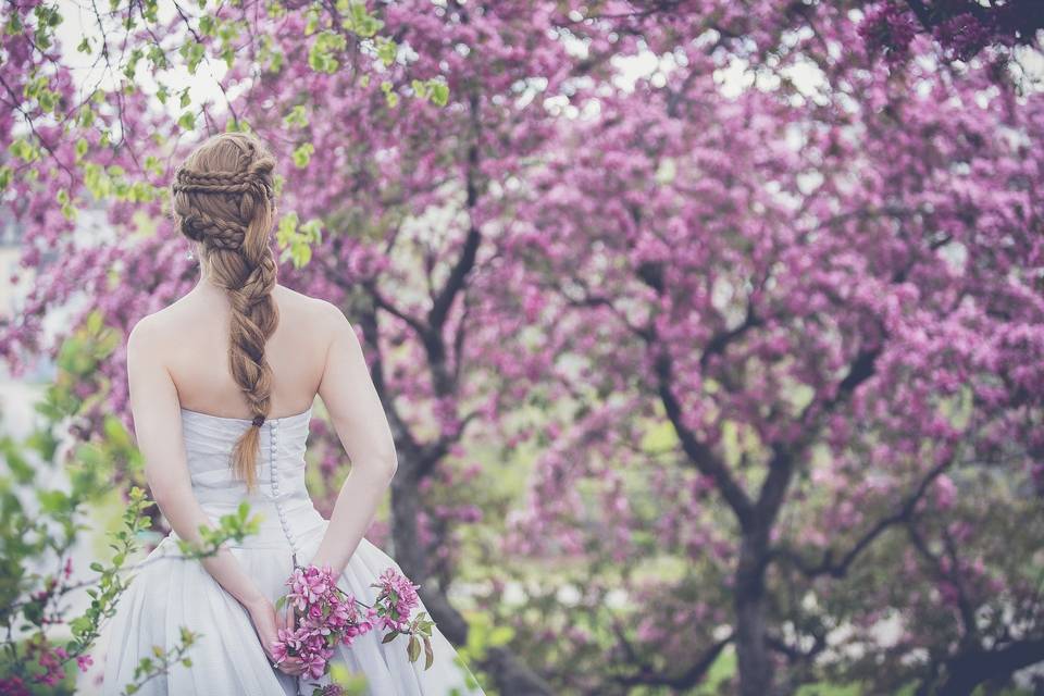 Gli alberi, la sposa