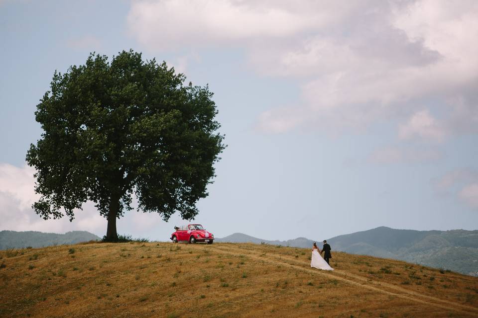 Alessandro Taddeini