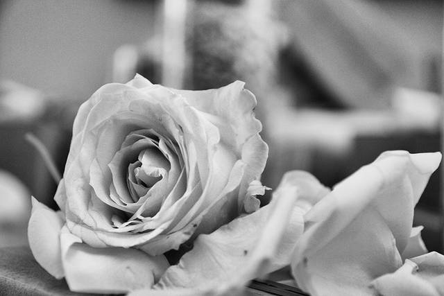 Wedding reportage