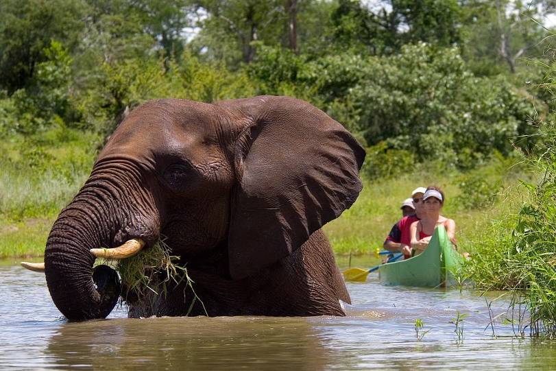 Botswana delta Okavango