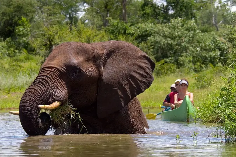 TOUR NEW YORK - Elefante Viaggi