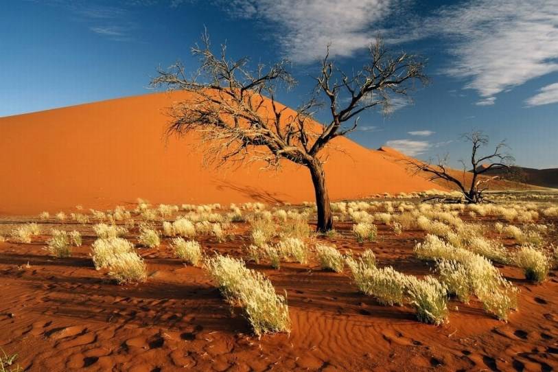 Namibia, Dune e Oasi