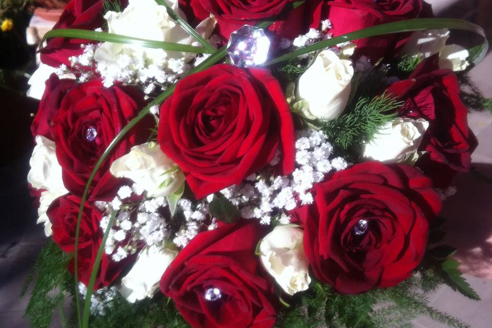 Rose rosse