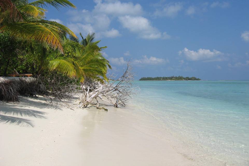 Maldive