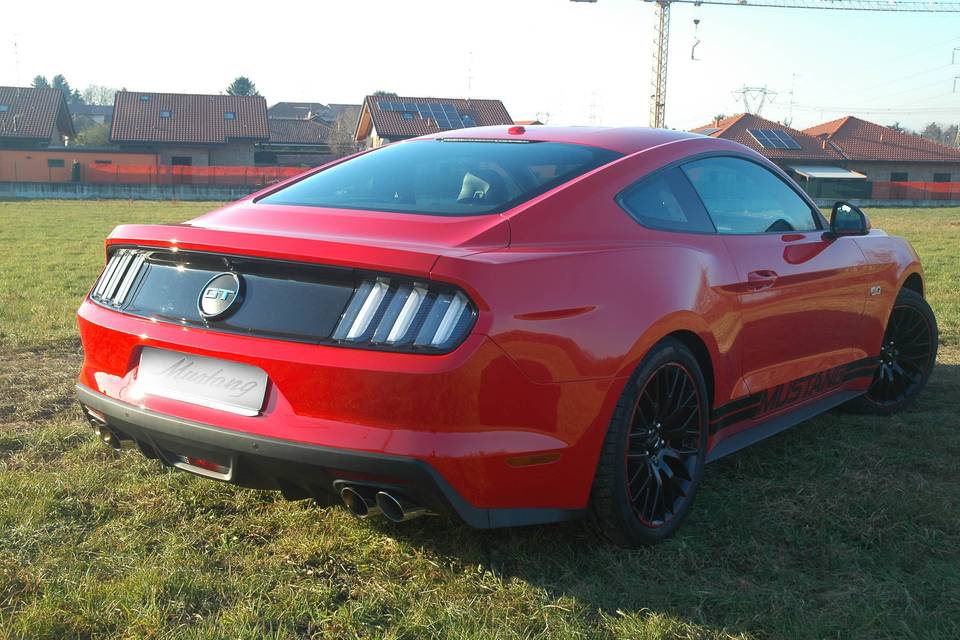 Noleggio Mustang