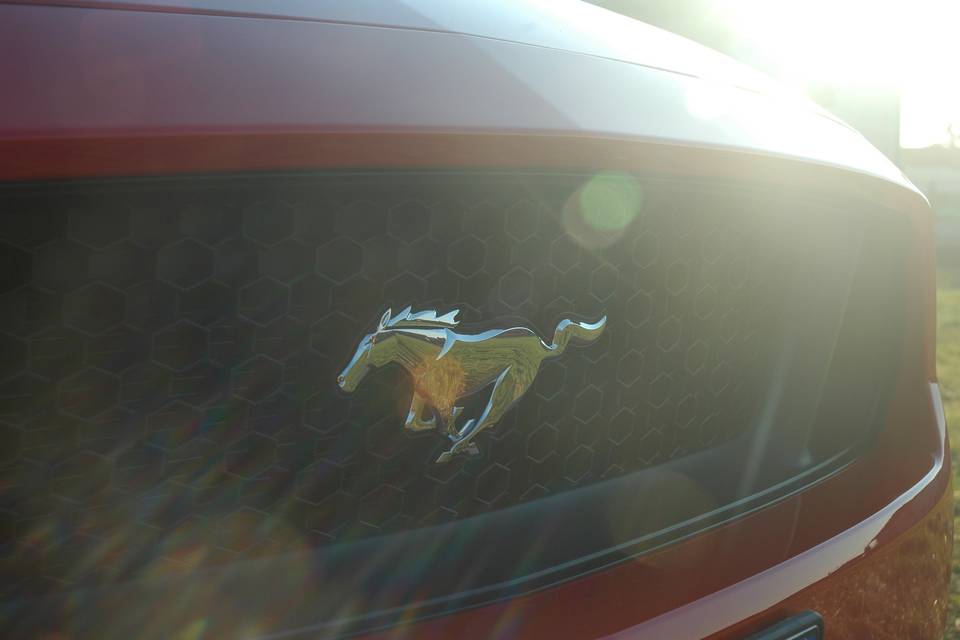 Noleggio Mustang