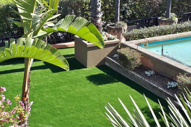 Moby Dick Sala Ricevimenti