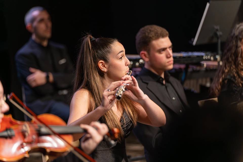 Musica da camera