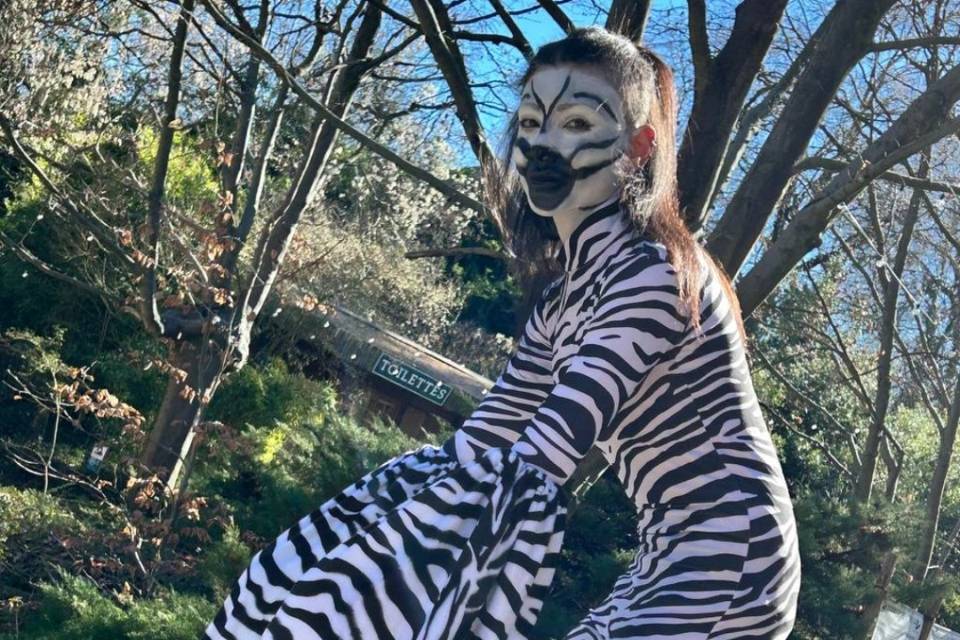 Zebra in azione