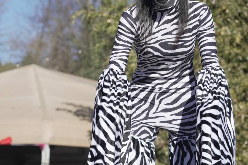 Mya La zebra a Natura Viva