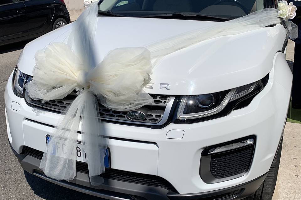 Frontale auto range rover