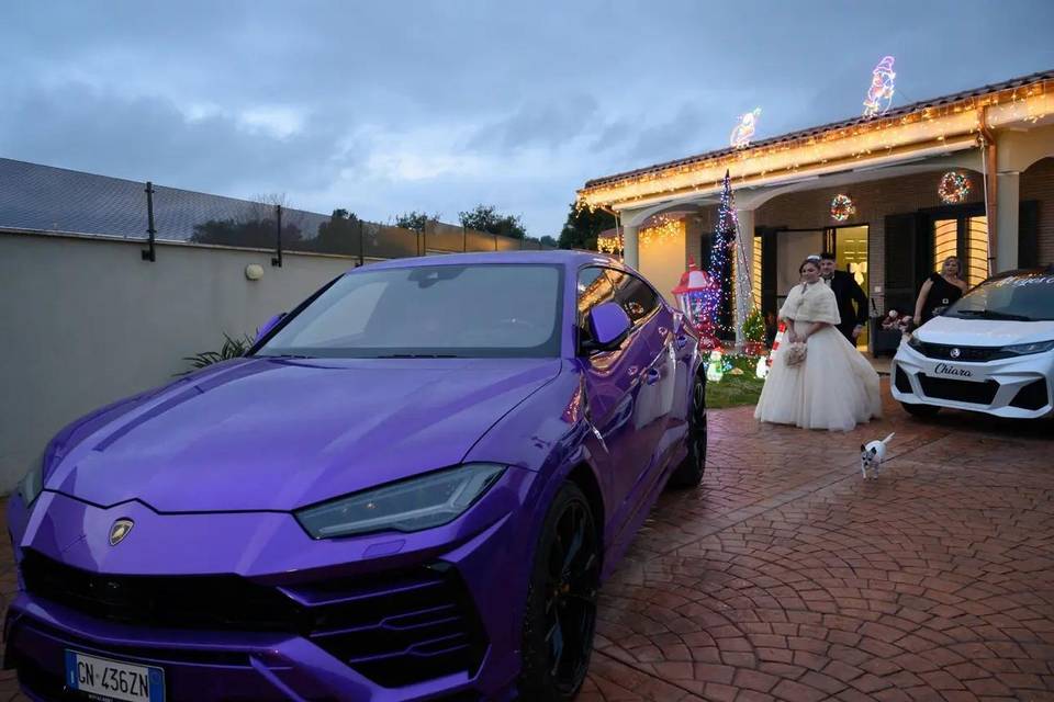 Diciottesimo urus