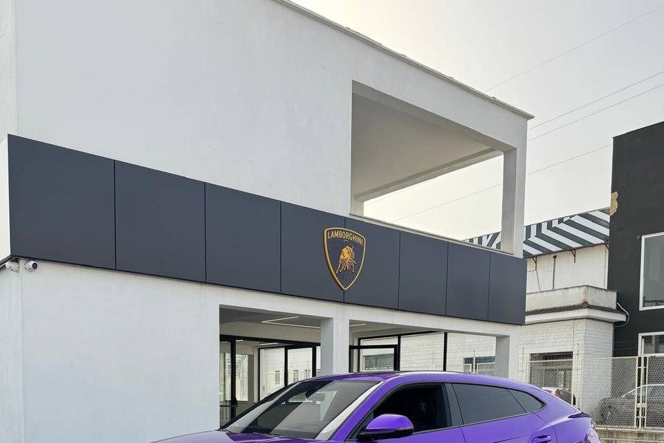 Urus viola