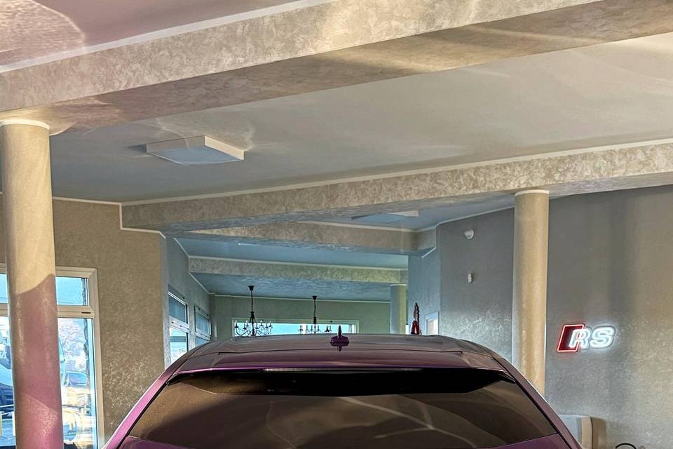 Urus viola