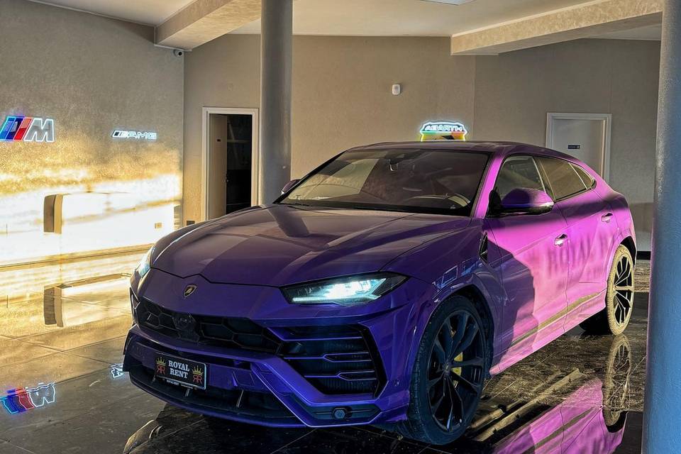 Lamborghini urus viola
