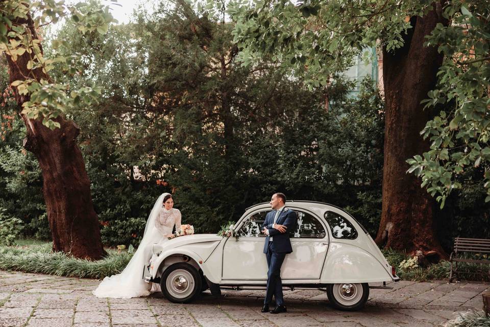 Wedding