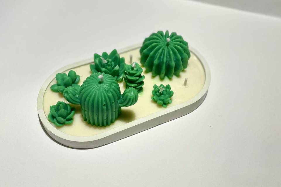 Deserto e cactus