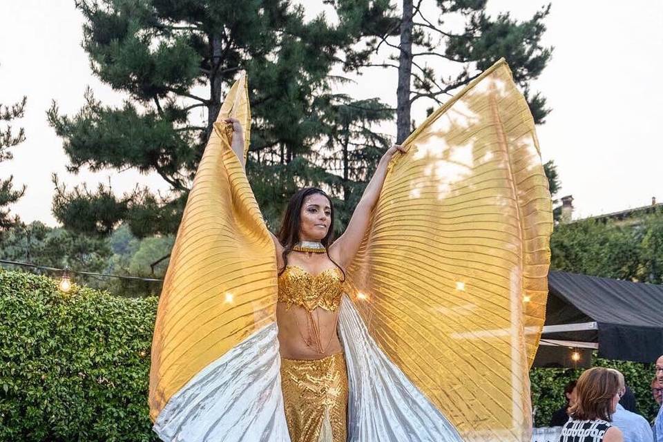 Show