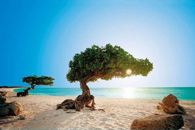 Aruba