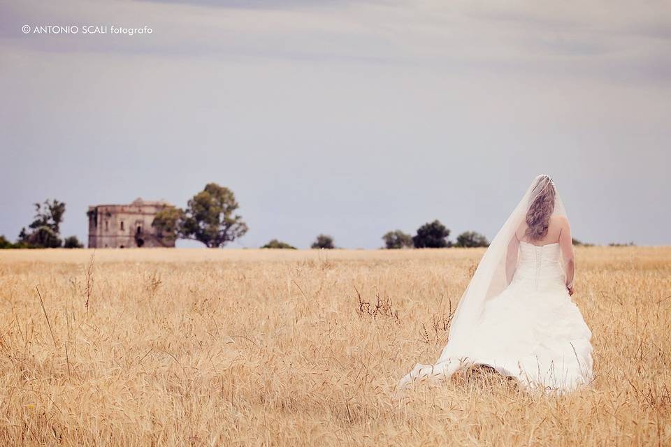 Wedding moments