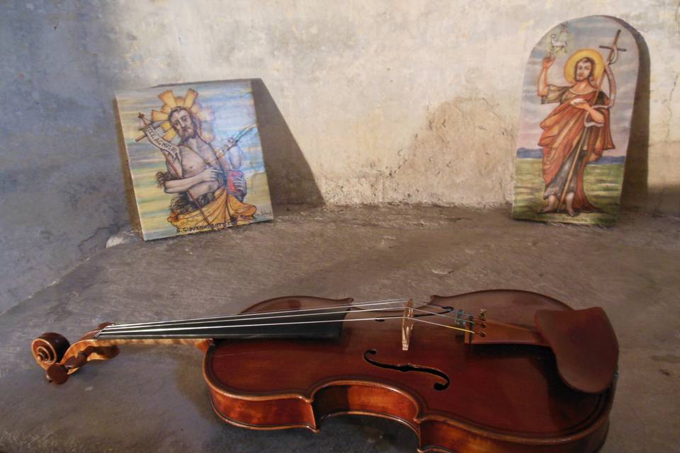 Violino