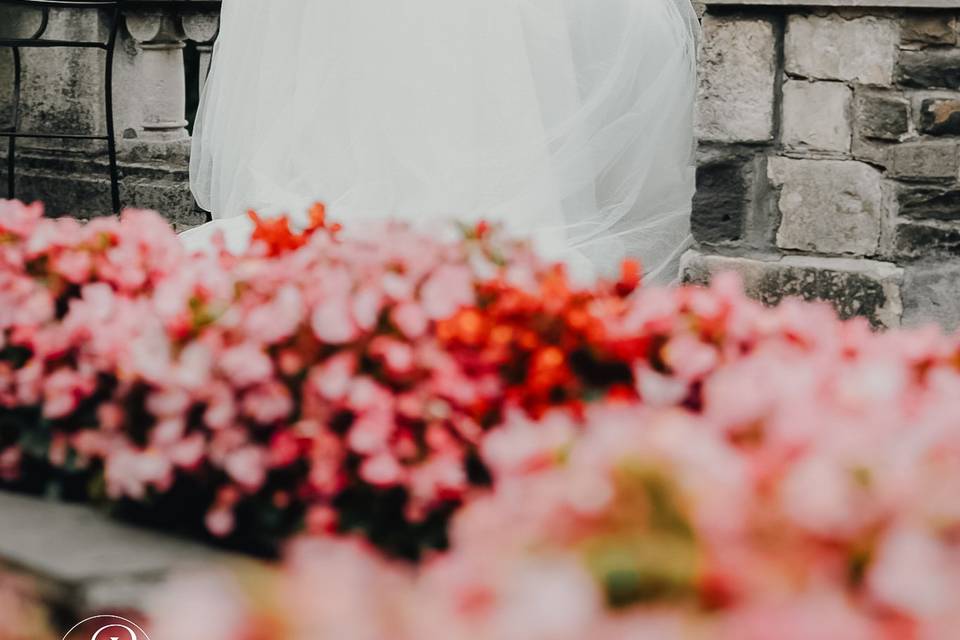 Trash the dress mountains