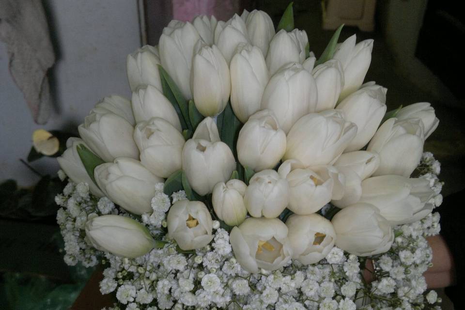 Bouquet tulipanifiori mensa gi