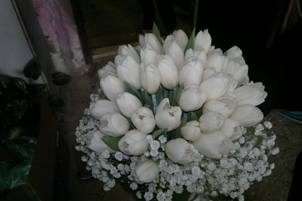 Bouquet tulipanifiori mensa gi