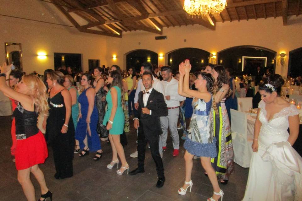 Animazione matrimonio