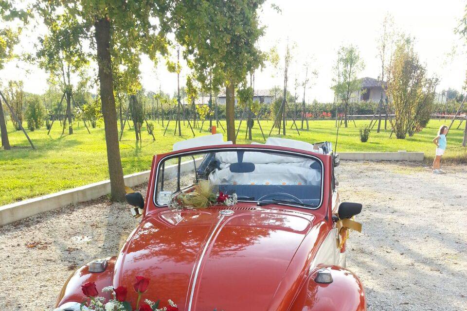 Maggiolone Cabrio d'Epoca