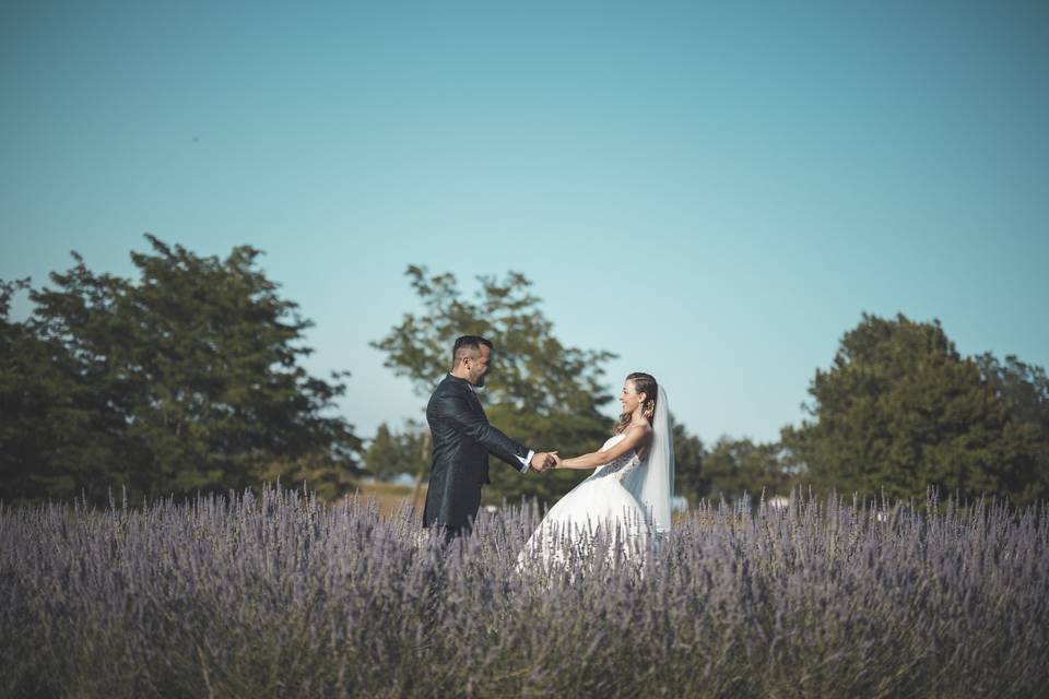 Wedding photo