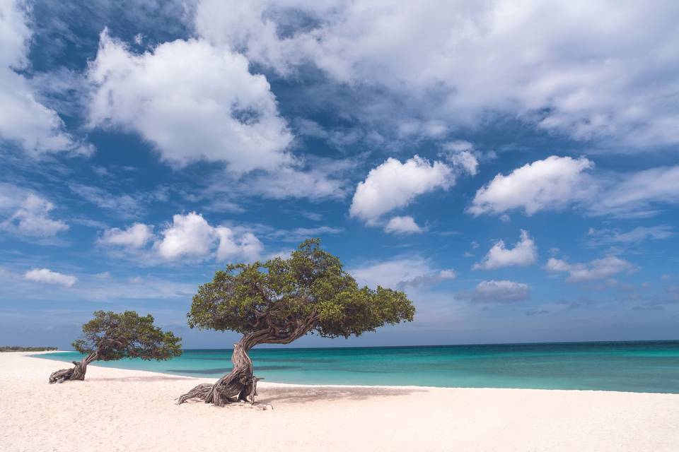 Aruba - Caraibi