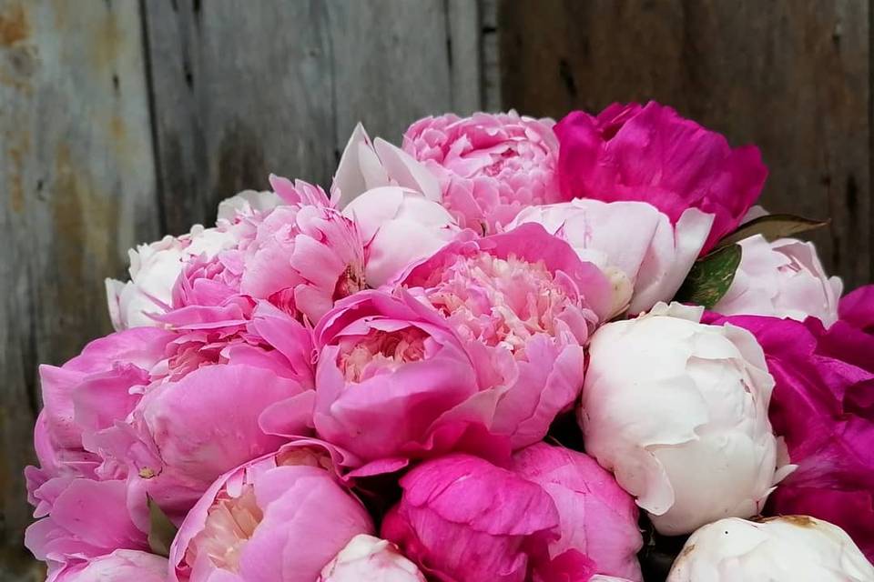 Buoquet peonie