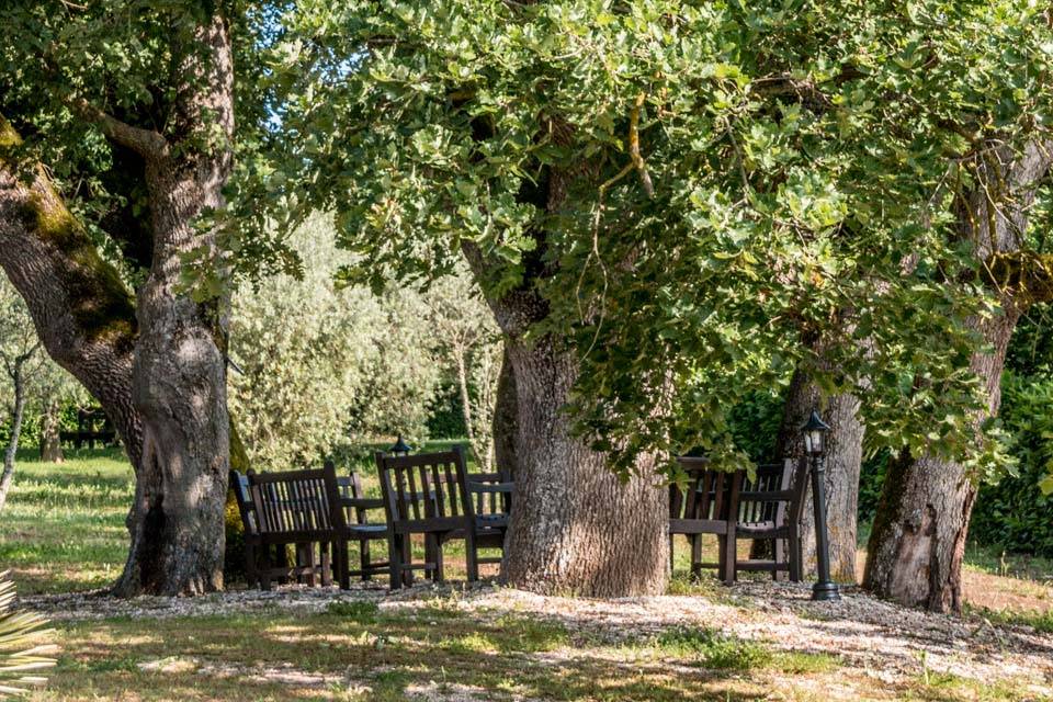 Le querce in circolo