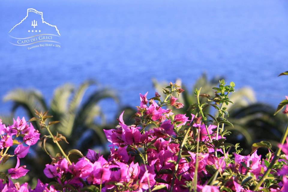 Capo dei Greci Taormina Coast