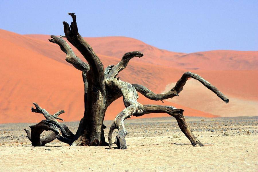 Namibia: Deserto rosso
