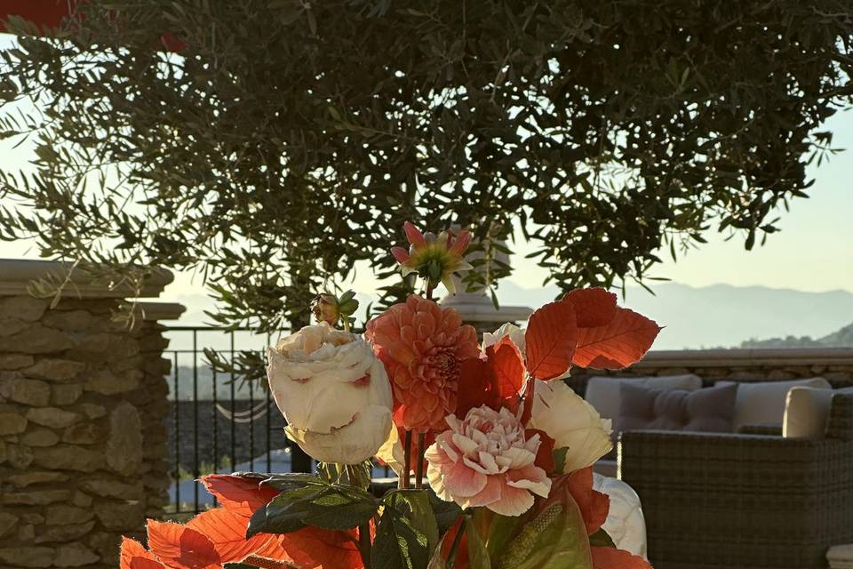 Giardini