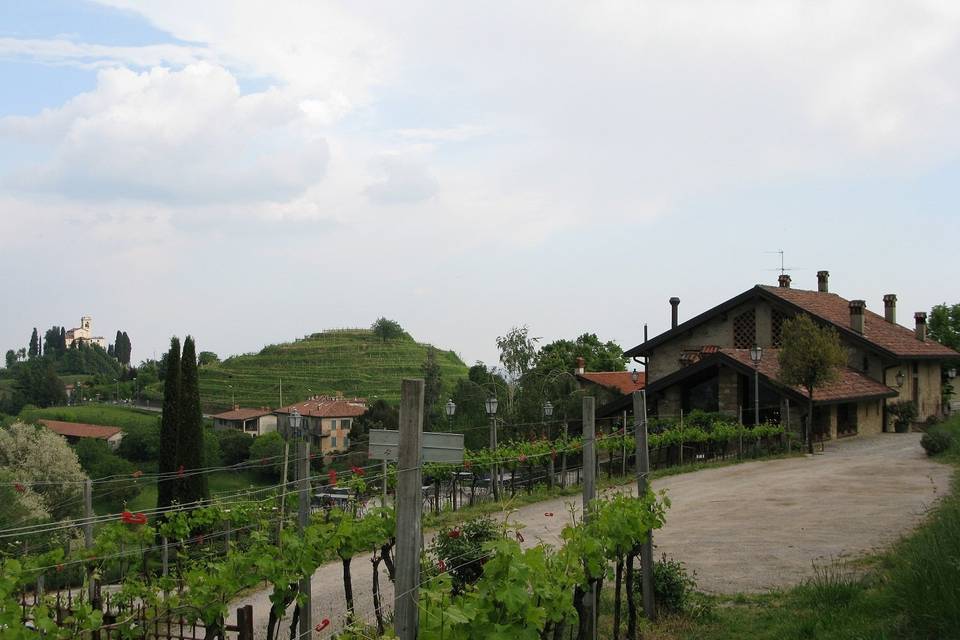Terrazze di Montevecchia